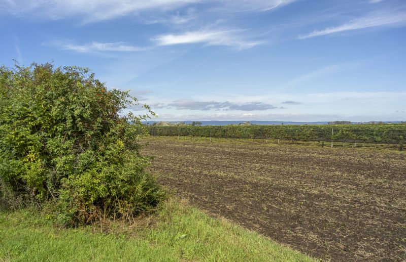 Farm Clearing in Houston, TX