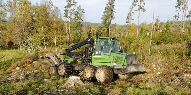 Forestry Clearing in Marietta, GA