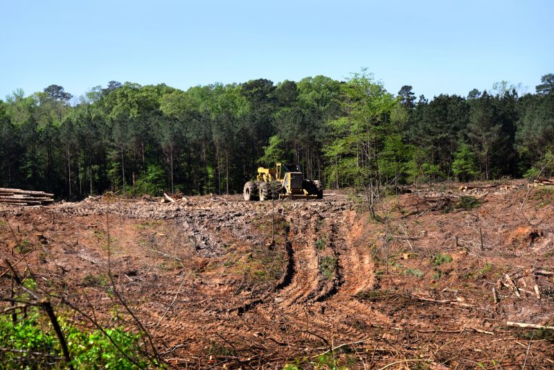 Pool Land Clearing in Marietta, GA