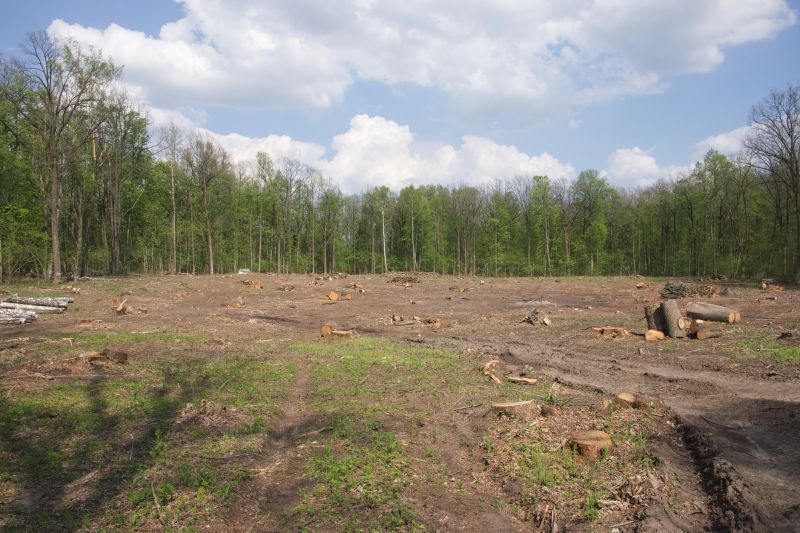 Acreage Clearing in Salt Lake City, UT