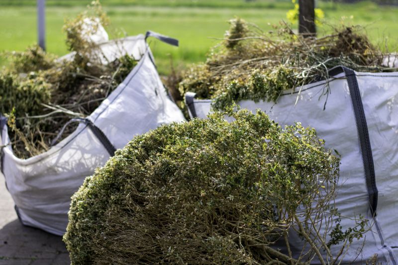 Bushes Clearing in Salt Lake City, UT