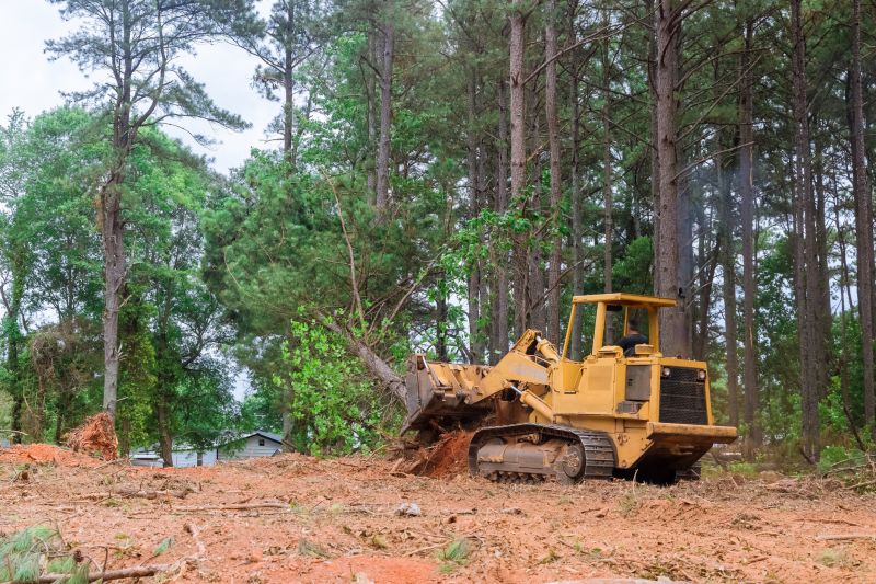 Construction Site Land Clearing in Marietta, GA