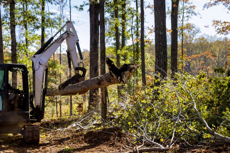 Construction Site Land Clearing in Marietta, GA