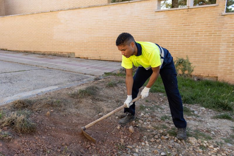 Dirt Relocation in Houston, TX