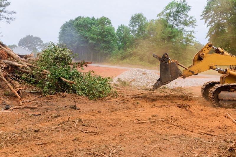 Easement Land Clearing in Katy, TX