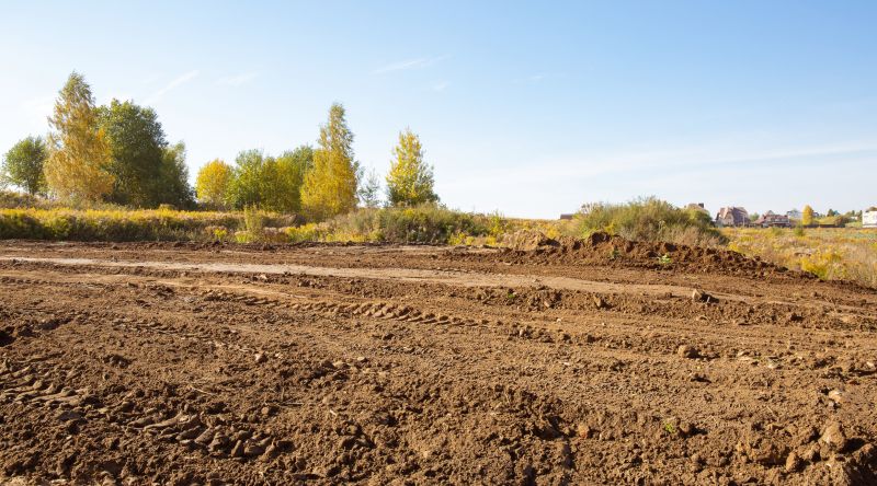 Land Clearing in Katy, TX