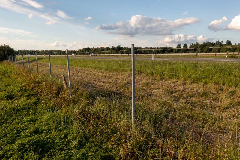Property Line Clearing in Houston, TX